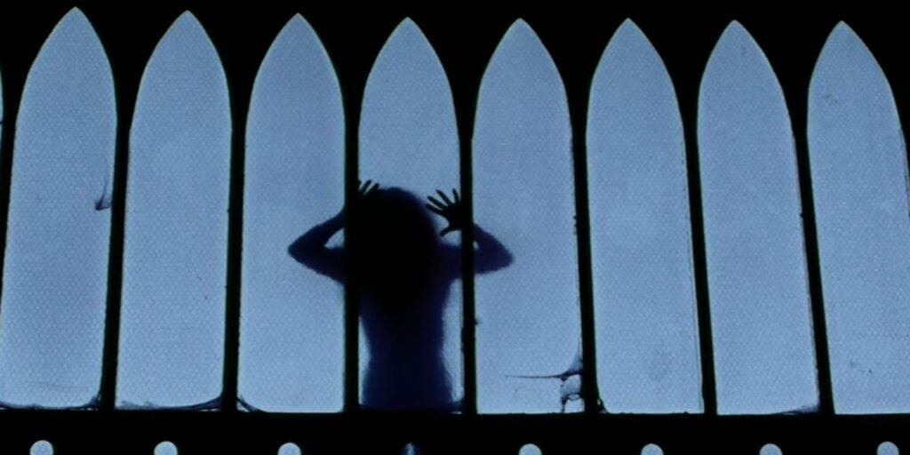 Mostra de cinema em SP explora filmes de horror dirigidos por mulheres Mostra de cinema em SP explora filmes de horror dirigidos por mulheres