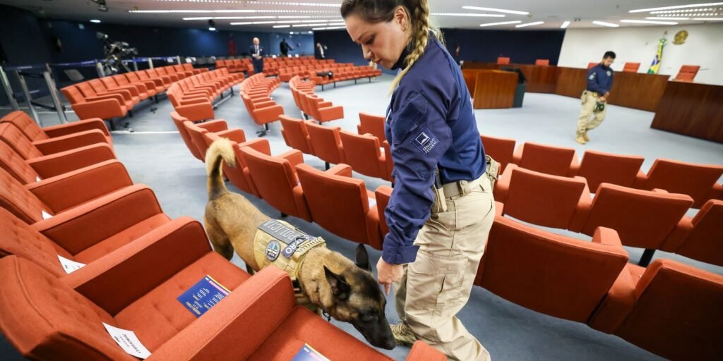 Advogado provoca tumulto e é detido no julgamento sobre trama golpista