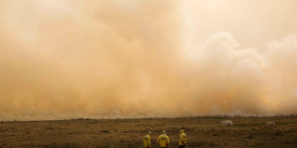 Verão foi menos chuvoso do que o necessário para repor água do solo