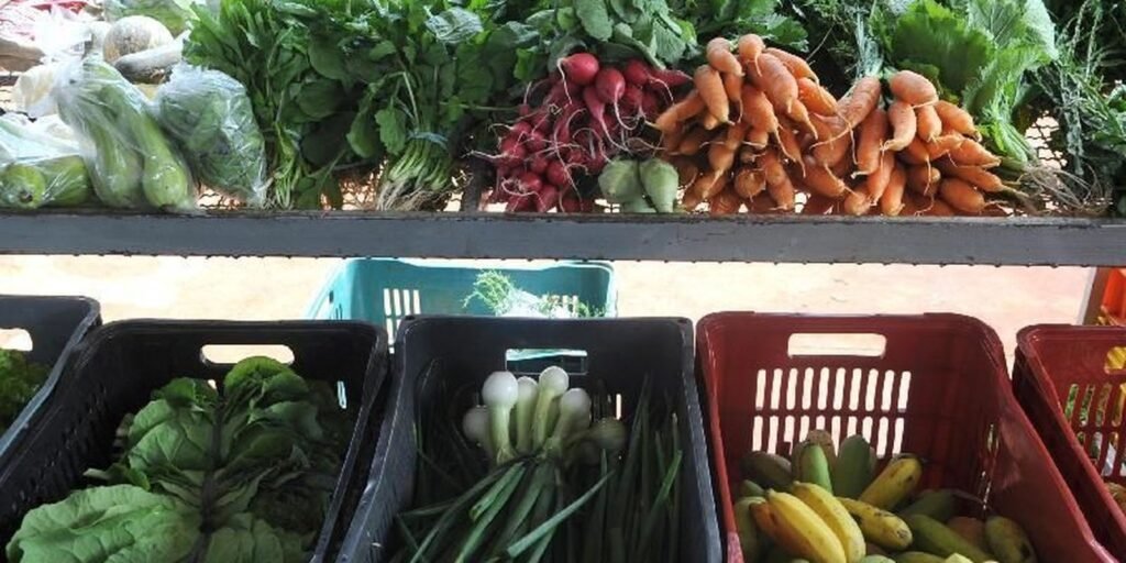 Encontro em Paris busca compromissos políticos por alimentação global