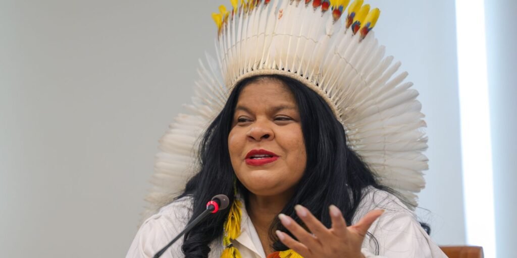 Ministra destaca trabalho inédito na proteção dos povos indígenas Ministra destaca trabalho inédito na proteção dos povos indígenas