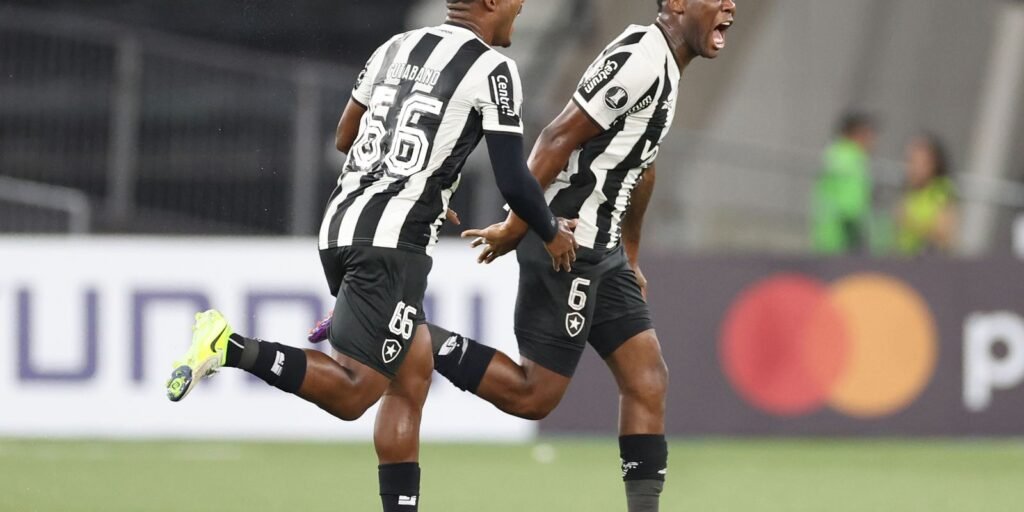 Botafogo vence primeira na Copa Libertadores