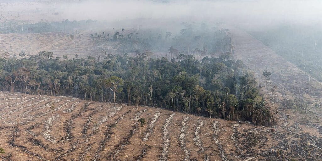 STF permite desapropriação de terra por incêndio ilegal e desmatamento
