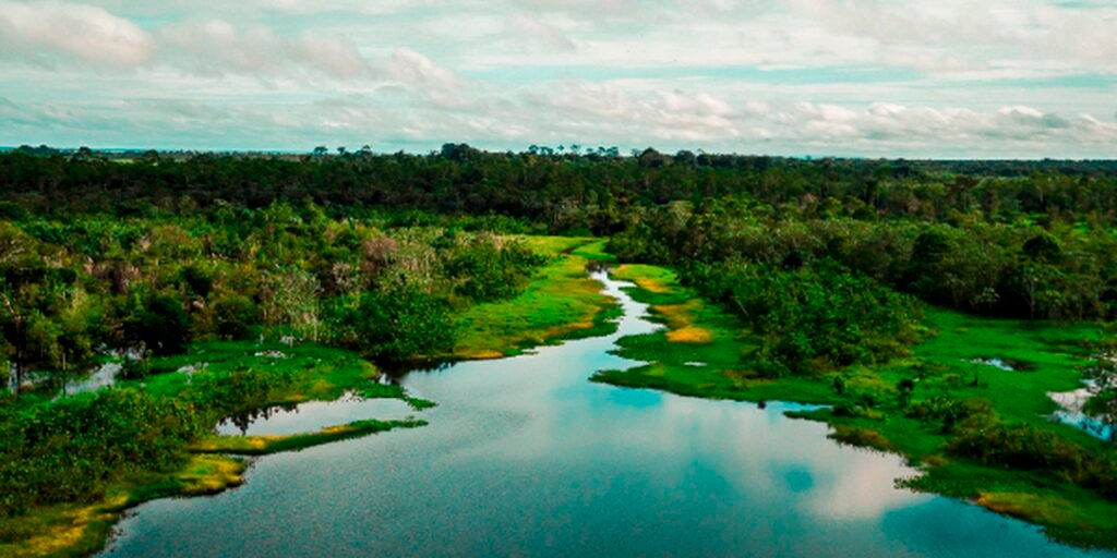 Área de proteção terá trilha ecológica e turismo de base comunitária Área de proteção terá trilha ecológica e turismo de base comunitária