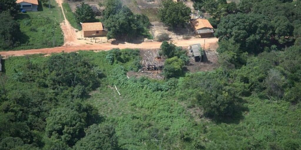 Desintrusão da Terra Indígena Arariboia gera R$ 956 mil em infrações