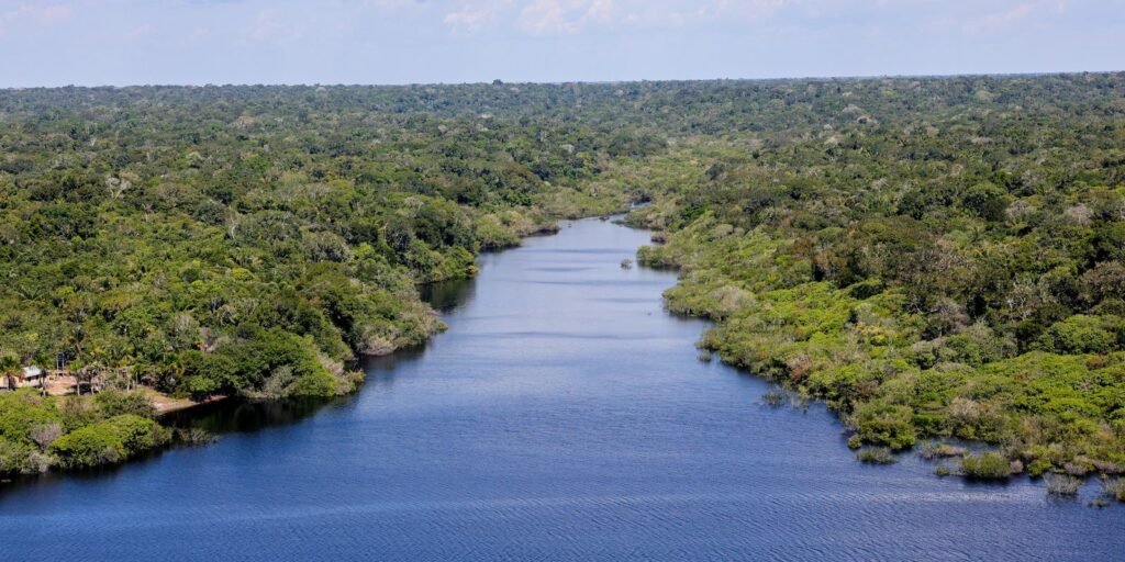 Fundo Amazônia financia reflorestamento em terras indígenas