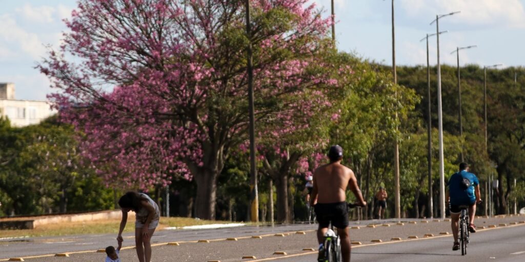 Dois terços dos brasileiros moram em ruas arborizadas