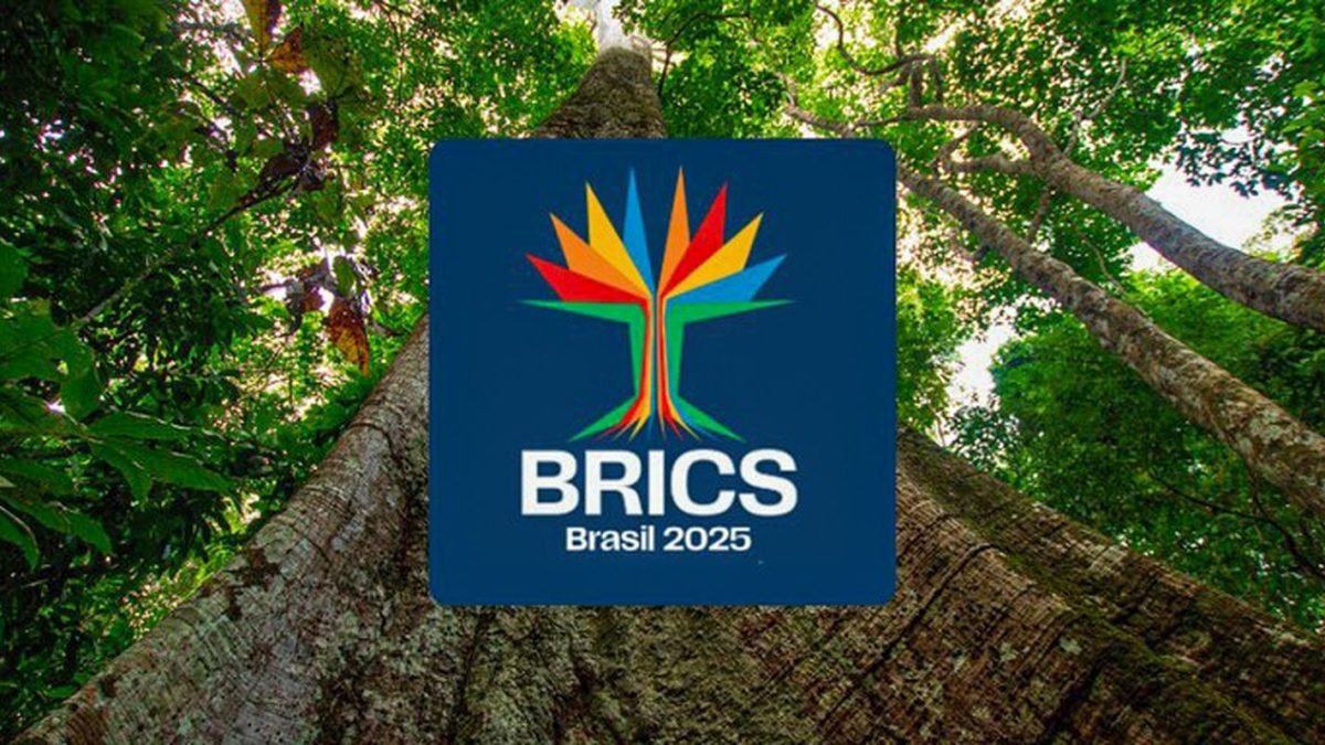 1744217644_identidade_visual_do_brics_brasil.jpg