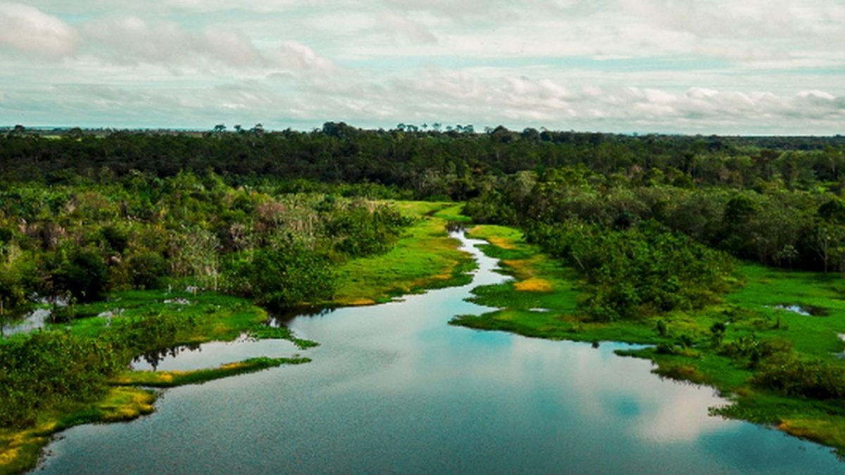 area_de_protecao_no_para_tera_trilha_ecologica_e_turismo_de_base_comunitaria.jpg