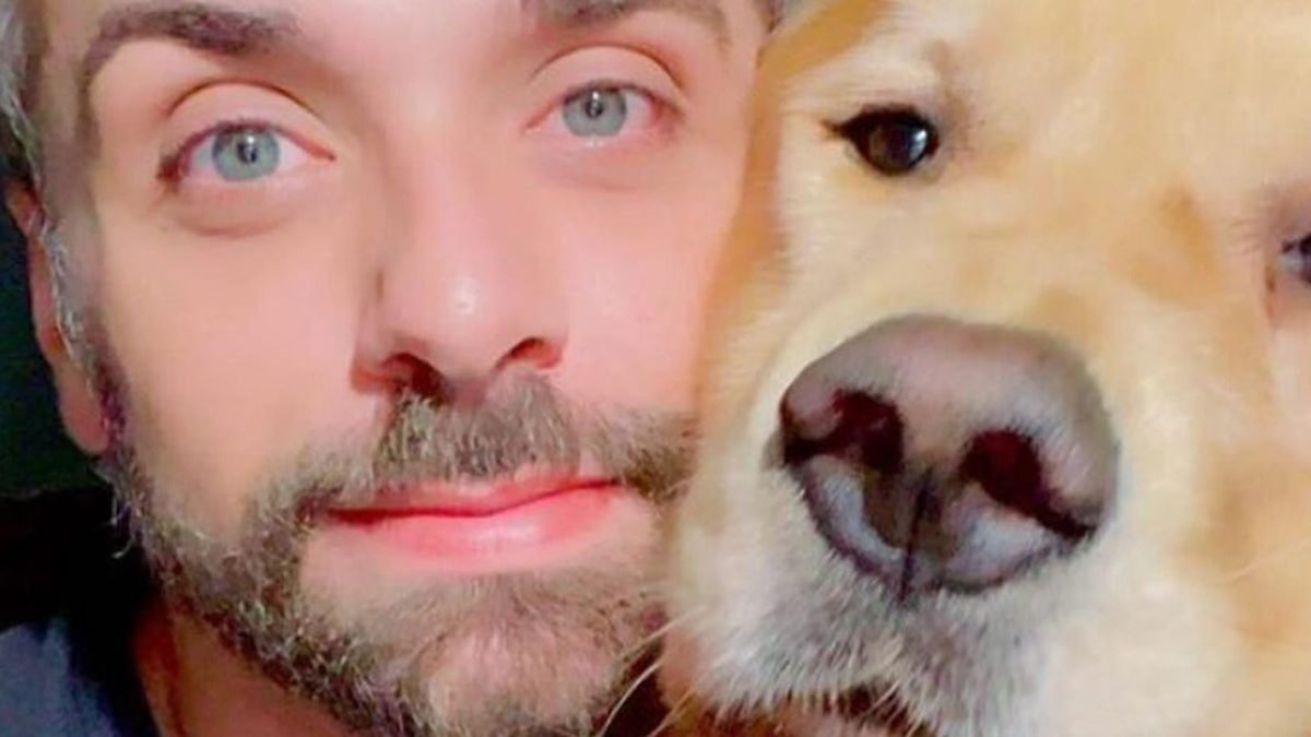 cachorro_morre_apos_ser_transportado_pela_gol3.jpg