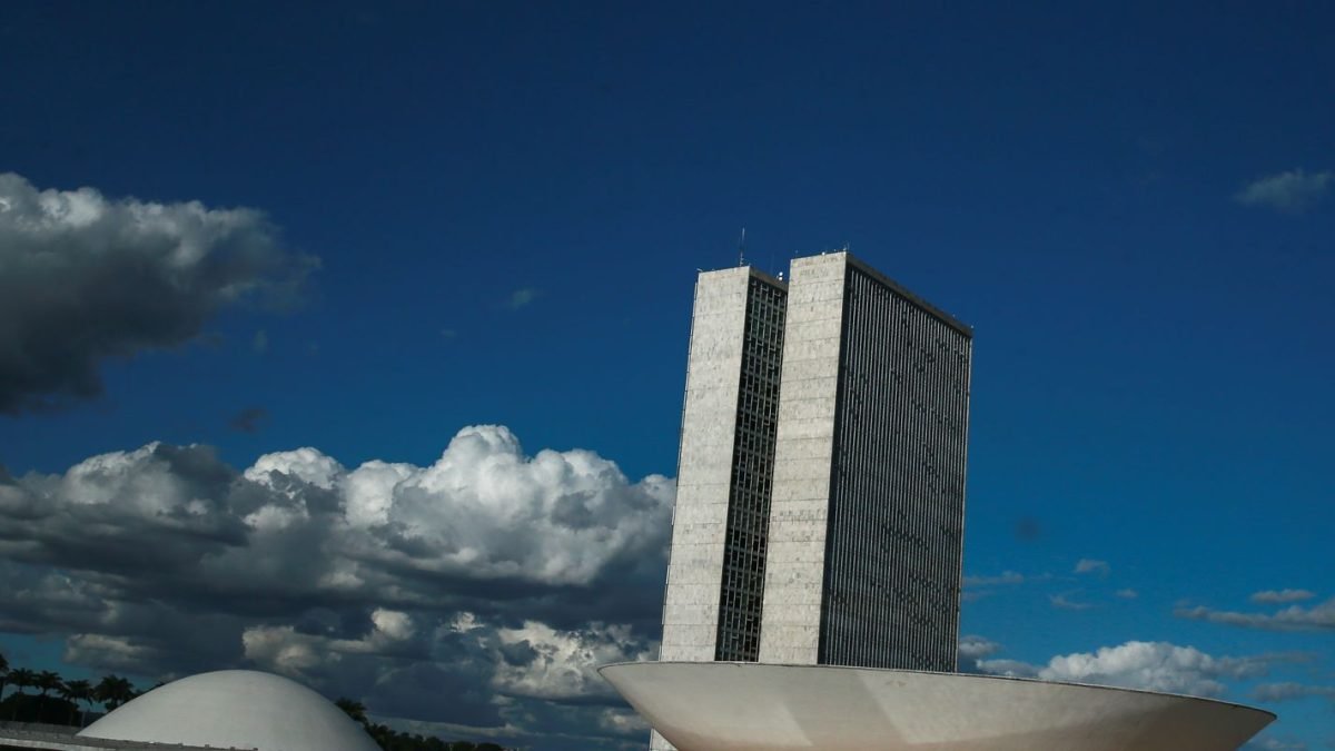 monumentos_brasilia_cupula_plenario_da_camara_dos_deputados3103201338.jpg