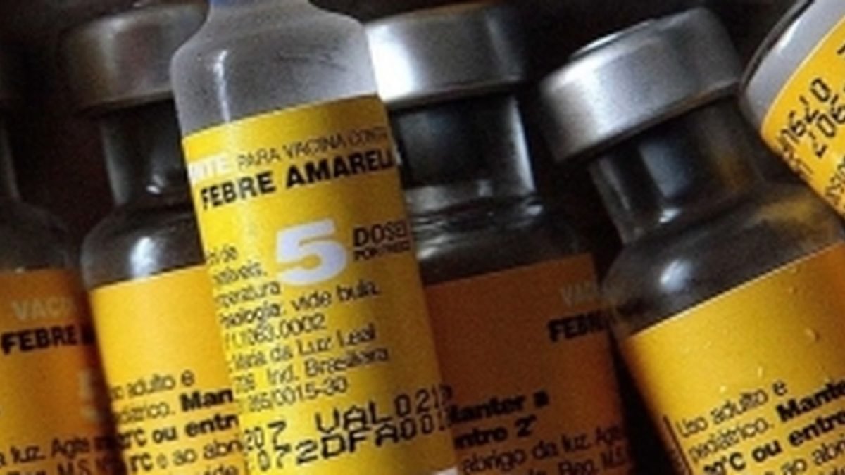 vacina_contra_febre_amarela.jpg